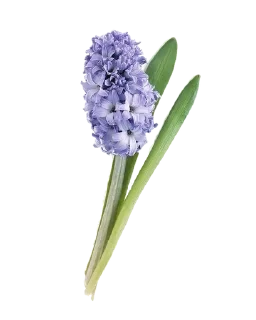 ☂ emoji flowers 4u ^^ Telegram sticker 9 of 21