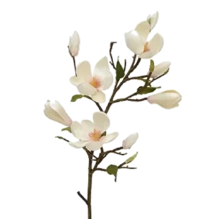 🐚 emoji flowers 4u ^^ Telegram sticker 6 of 21