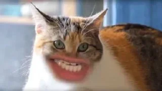 👄 emoji літо у бабусі 2х Telegram sticker 16 of 32