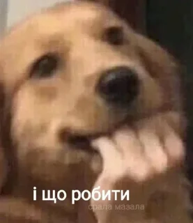 ☠ emoji Юкрейніан стікери🥰🥵 Telegram sticker 6 of 45