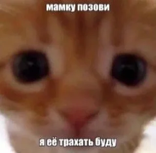 Sticker from япускаюповене
