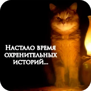 🐱 emoji Просто ржачные коты Telegram sticker 18 of 104