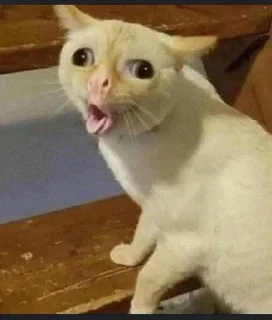 🤮 emoji котеке Telegram sticker 23 of 69