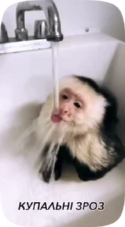 🚿 emoji ЗРОЗ Telegram sticker 6 of 50