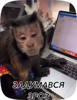 🤔 emoji ЗРОЗ Telegram sticker 13 of 50