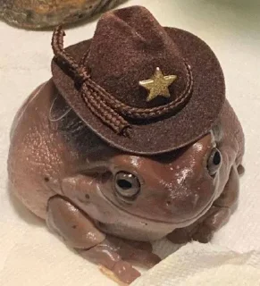 🤠 emoji Лягушки 🐸💗 Telegram sticker 23 of 43