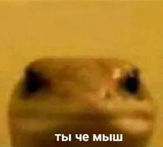 😠 emoji брр-та-та Telegram sticker 6 of 35