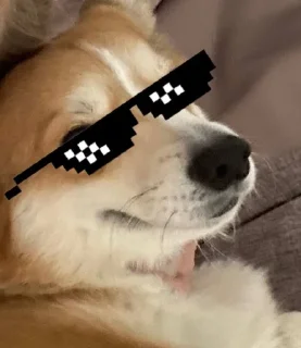 😎 emoji LIZOK Telegram sticker 7 of 11