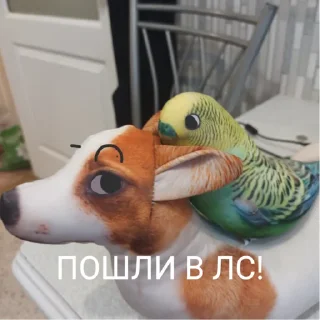 👌 emoji Попуга @bloptop Telegram sticker 8 of 21