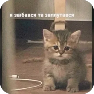 😔 emoji сни be like Telegram sticker 8 of 61