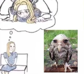 🦉 emoji обожаю этого админа.... Telegram sticker 11 of 67