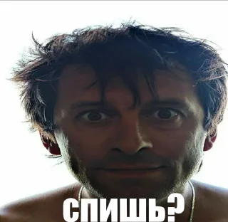 👁 emoji король и slut Telegram sticker 21 of 38