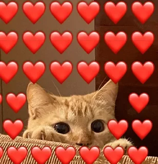 🌟 emoji Сеня Telegram sticker 7 of 109