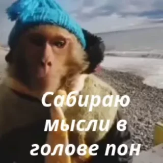 🤔 emoji АЙСДЕРХУ Monki Пон Telegram sticker 6 of 15