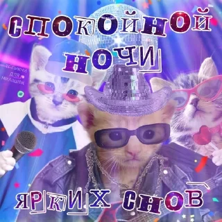 😴 emoji тшш котики спят Telegram sticker 23 of 78