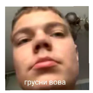 😄 emoji вова 4 обнова Telegram sticker 13 of 20