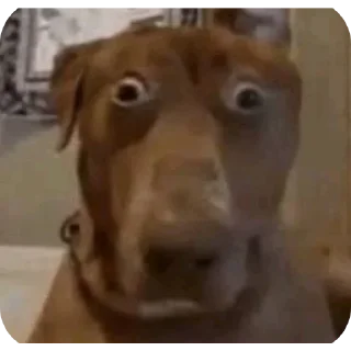 😯 emoji тик токэс Telegram sticker 5 of 55