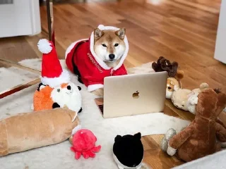 🎅 emoji Хлебная тема Telegram sticker 11 of 112