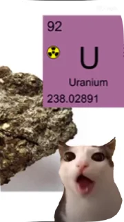 🍽 emoji Котики😺 Telegram sticker 10 of 12