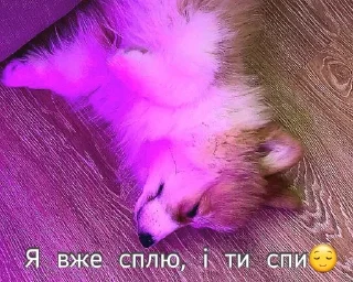 🌟 emoji Стікери від Софи Telegram sticker 15 of 15