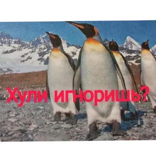 🐦 emoji Да-да Telegram sticker 20 of 43
