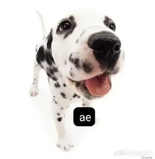 🌟 emoji Пиздатый стикерпак Telegram sticker 22 of 34