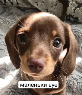 🤨 emoji Пиздатый стикерпак Telegram sticker 13 of 34