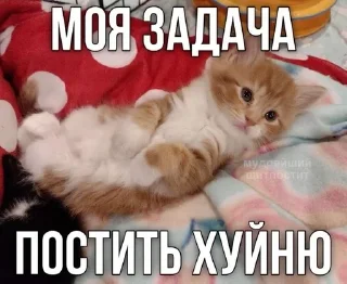 🌟 emoji котеки @anyushp Telegram sticker 24 of 52