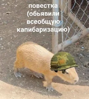 🌟 emoji мілі капібари :: @mixtapper Telegram sticker 22 of 120