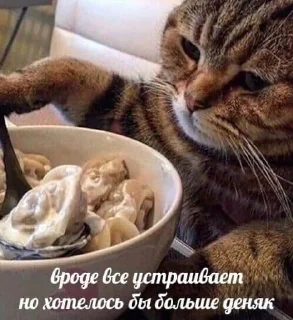 💰 emoji Стикеры Деда Vol. 2 Telegram sticker 11 of 46