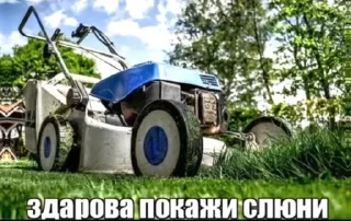 🌟 emoji Срань господня Telegram sticker 20 of 119