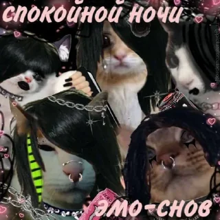 🌟 emoji Катар идет спать Telegram sticker 11 of 77