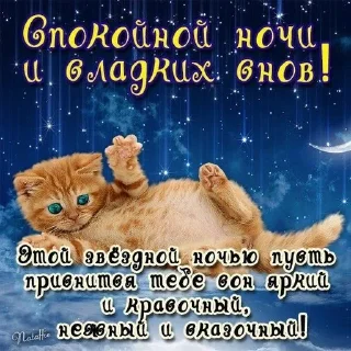 🌟 emoji Катар идет спать Telegram sticker 15 of 77