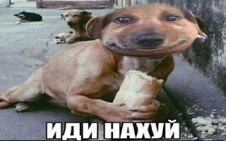 🖕 emoji Пес ебани Telegram sticker 16 of 22