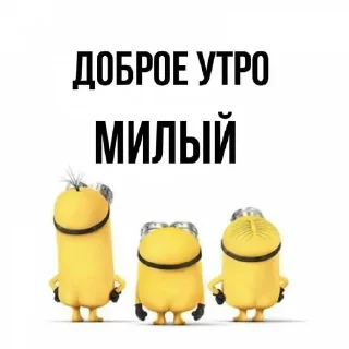 🐥 emoji люблю федю Telegram sticker 24 of 38