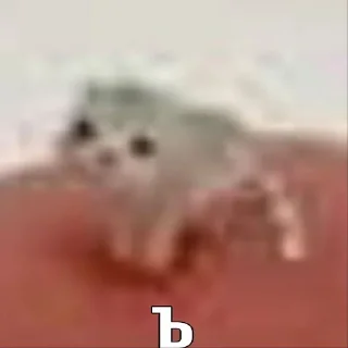 💀 emoji Коты как смысл жизни Telegram sticker 21 of 41