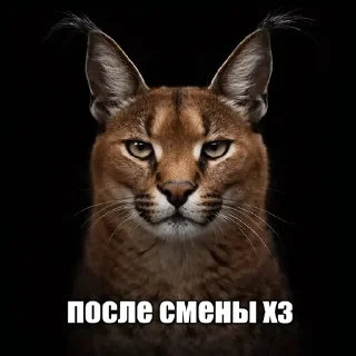 😀 emoji бебе Telegram sticker 24 of 55