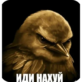 🖼 emoji Радужные птички 2 (прода) Telegram sticker 16 of 120
