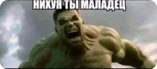 👍 emoji А шо ты думал Telegram sticker 23 of 28