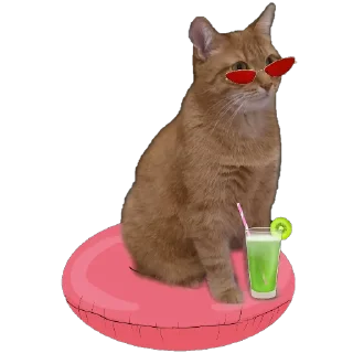 🤩 emoji Йося и Матюша Telegram sticker 12 of 45