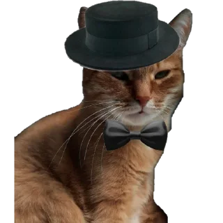 😎 emoji Йося и Матюша Telegram sticker 10 of 45