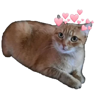 🥰 emoji Йося и Матюша Telegram sticker 11 of 45