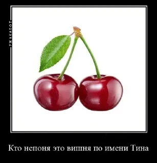 🐧 emoji Ахуеть я черешня Telegram sticker 5 of 36