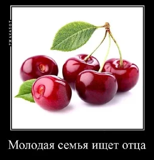 👪 emoji Ахуеть я черешня Telegram sticker 6 of 36
