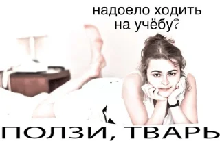 😇 emoji я люблю чак чак Telegram sticker 7 of 85