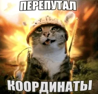🤪 emoji я люблю чак чак Telegram sticker 19 of 85