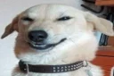 😁 emoji there's people in the world Telegram sticker 22 of 115