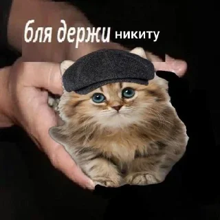 🌟 emoji Cat/@wseded Telegram sticker 24 of 76