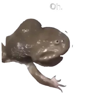 🐸 emoji ой че будет Telegram sticker 8 of 19