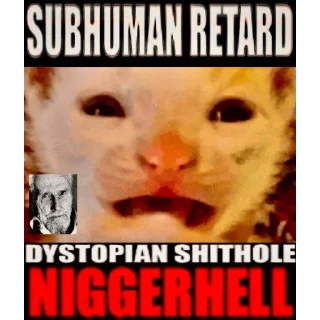 Sticker from kitty